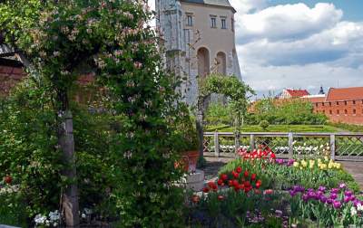 Ogrody zostały otwarte, tu też musisz w maseczce... - zdjęcie 8