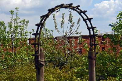 Ogrody zostały otwarte, tu też musisz w maseczce... - zdjęcie 24