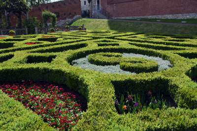 Ogrody zostały otwarte, tu też musisz w maseczce... - zdjęcie 1