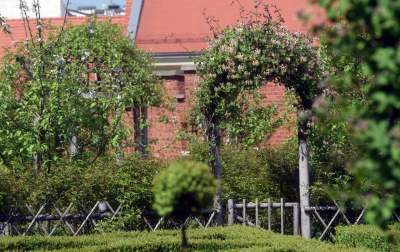 Ogrody zostały otwarte, tu też musisz w maseczce... - zdjęcie 9