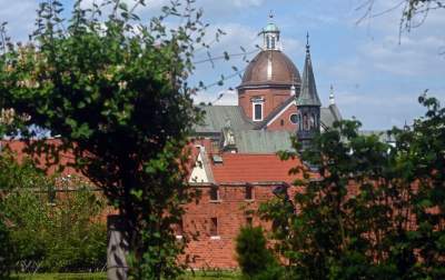 Ogrody zostały otwarte, tu też musisz w maseczce... - zdjęcie 10