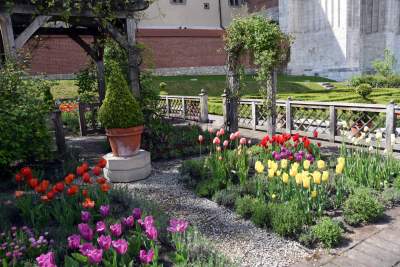 Ogrody zostały otwarte, tu też musisz w maseczce... - zdjęcie 7