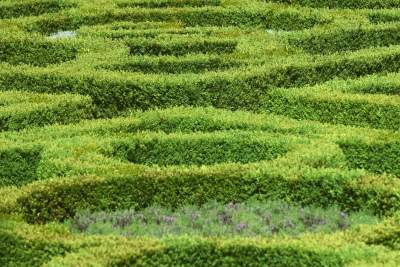 Ogrody zostały otwarte, tu też musisz w maseczce... - zdjęcie 14