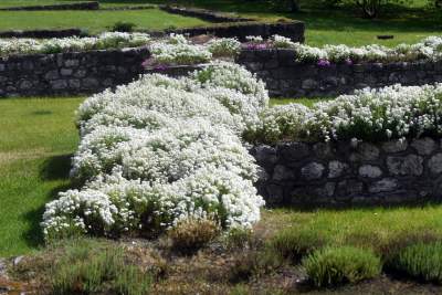 Częściowy koniec kwarantanny na Wawelu, dziedzińce otwarte - zdjęcie 6