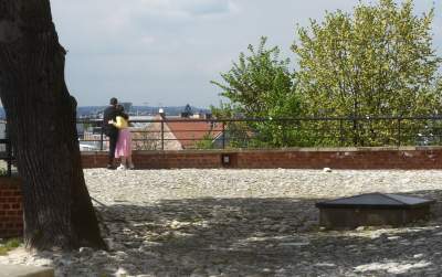 Częściowy koniec kwarantanny na Wawelu, dziedzińce otwarte - zdjęcie 14