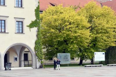 Częściowy koniec kwarantanny na Wawelu, dziedzińce otwarte - zdjęcie 23