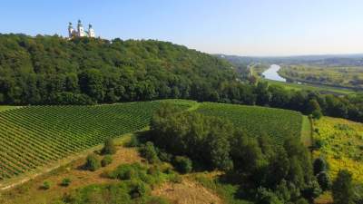Tutaj świętują 11 listopada butelkami szczególnego wina - zdjęcie 16