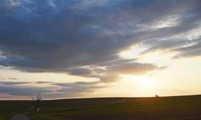 Chodźże, wyjdź na pole. Magiczne miejsce niedaleko Krakowa - zdjęcie 23