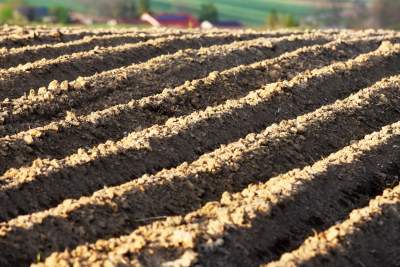 Chodźże, wyjdź na pole. Magiczne miejsce niedaleko Krakowa - zdjęcie 15