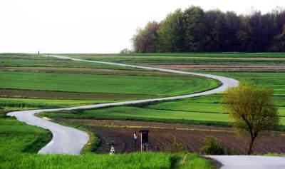 Chodźże, wyjdź na pole. Magiczne miejsce niedaleko Krakowa - zdjęcie 19