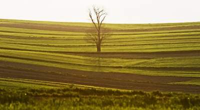 Chodźże, wyjdź na pole. Magiczne miejsce niedaleko Krakowa - zdjęcie 11