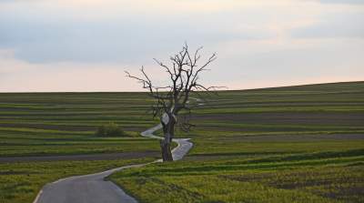 Chodźże, wyjdź na pole. Magiczne miejsce niedaleko Krakowa - zdjęcie 21