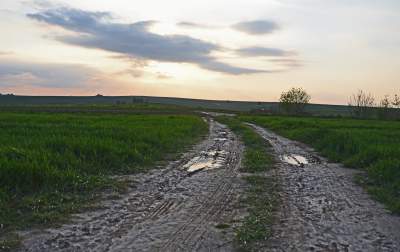 Chodźże, wyjdź na pole. Magiczne miejsce niedaleko Krakowa - zdjęcie 18