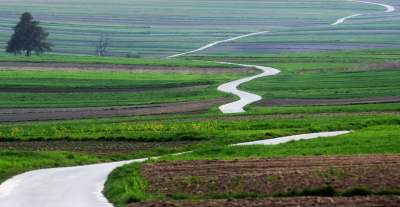 Chodźże, wyjdź na pole. Magiczne miejsce niedaleko Krakowa - zdjęcie 3