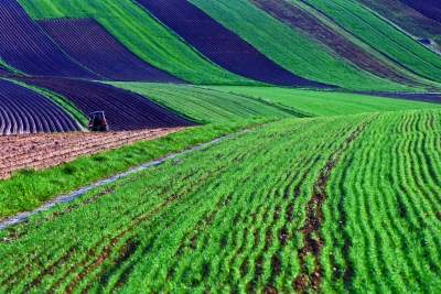 Chodźże, wyjdź na pole. Magiczne miejsce niedaleko Krakowa - zdjęcie 7