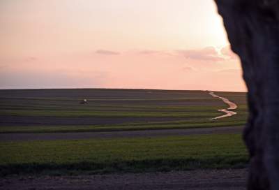 Chodźże, wyjdź na pole. Magiczne miejsce niedaleko Krakowa - zdjęcie 26