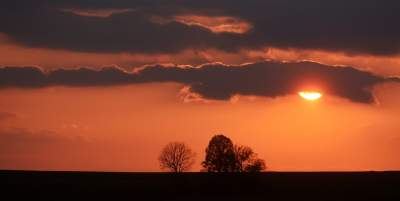 Chodźże, wyjdź na pole. Magiczne miejsce niedaleko Krakowa - zdjęcie 27