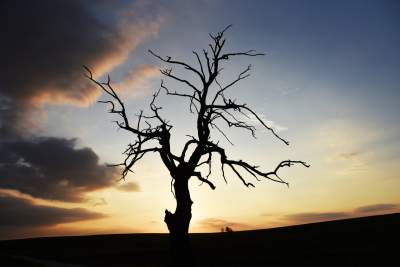 Chodźże, wyjdź na pole. Magiczne miejsce niedaleko Krakowa - zdjęcie 1