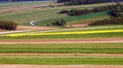 Chodźże, wyjdź na pole. Magiczne miejsce niedaleko Krakowa - zdjęcie 8