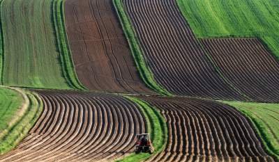 Chodźże, wyjdź na pole. Magiczne miejsce niedaleko Krakowa - zdjęcie 4