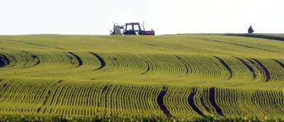 Chodźże, wyjdź na pole. Magiczne miejsce niedaleko Krakowa - zdjęcie 12