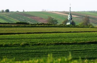 Chodźże, wyjdź na pole. Magiczne miejsce niedaleko Krakowa - zdjęcie 14