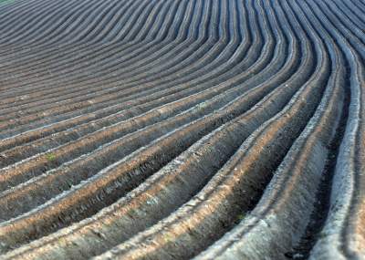 Chodźże, wyjdź na pole. Magiczne miejsce niedaleko Krakowa - zdjęcie 20