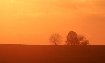 Chodźże, wyjdź na pole. Magiczne miejsce niedaleko Krakowa - zdjęcie 22