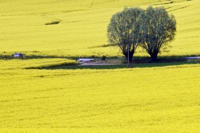 O tej porze najbardziej malownicze okolice Krakowa... - zdjęcie 8