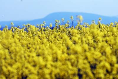 O tej porze najbardziej malownicze okolice Krakowa... - zdjęcie 23