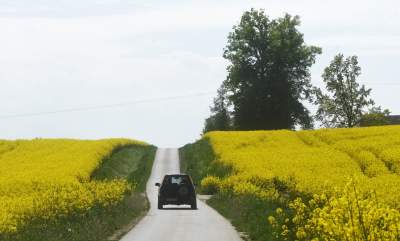 O tej porze najbardziej malownicze okolice Krakowa... - zdjęcie 35