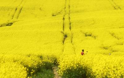 O tej porze najbardziej malownicze okolice Krakowa... - zdjęcie 25
