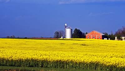 O tej porze najbardziej malownicze okolice Krakowa... - zdjęcie 1