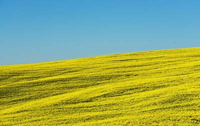 O tej porze najbardziej malownicze okolice Krakowa... - zdjęcie 40