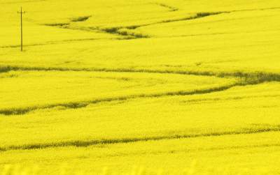 O tej porze najbardziej malownicze okolice Krakowa... - zdjęcie 12