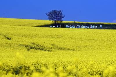O tej porze najbardziej malownicze okolice Krakowa... - zdjęcie 26