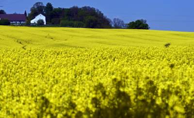 O tej porze najbardziej malownicze okolice Krakowa... - zdjęcie 30
