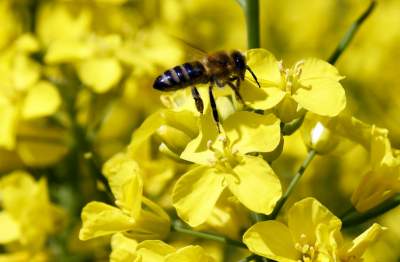 O tej porze najbardziej malownicze okolice Krakowa... - zdjęcie 15