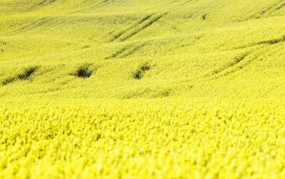 O tej porze najbardziej malownicze okolice Krakowa... - zdjęcie 24
