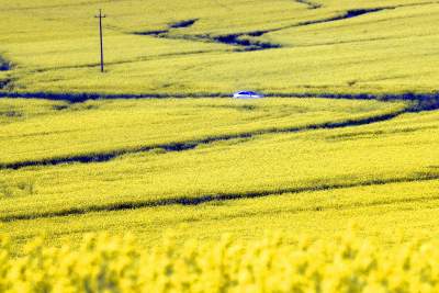 O tej porze najbardziej malownicze okolice Krakowa... - zdjęcie 17