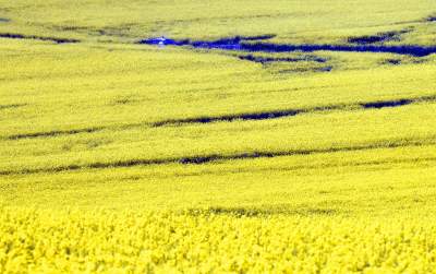 O tej porze najbardziej malownicze okolice Krakowa... - zdjęcie 6