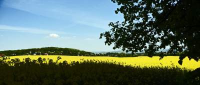 O tej porze najbardziej malownicze okolice Krakowa... - zdjęcie 31