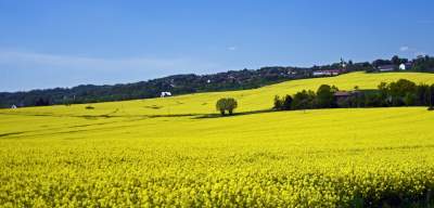 O tej porze najbardziej malownicze okolice Krakowa... - zdjęcie 5