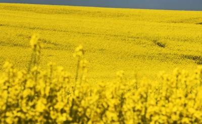 O tej porze najbardziej malownicze okolice Krakowa... - zdjęcie 33