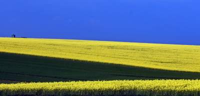 O tej porze najbardziej malownicze okolice Krakowa... - zdjęcie 2