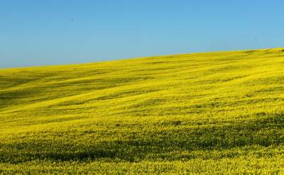 O tej porze najbardziej malownicze okolice Krakowa... - zdjęcie 39