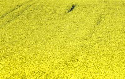 O tej porze najbardziej malownicze okolice Krakowa... - zdjęcie 10