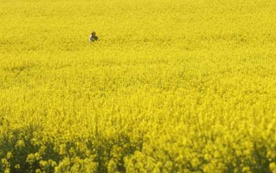 O tej porze najbardziej malownicze okolice Krakowa... - zdjęcie 19