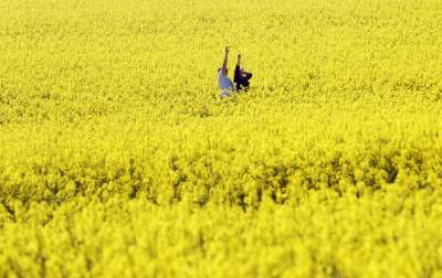 O tej porze najbardziej malownicze okolice Krakowa... - zdjęcie 21
