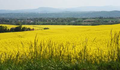 O tej porze najbardziej malownicze okolice Krakowa... - zdjęcie 37
